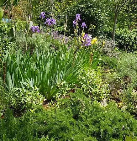 فندق مبيت وإفطار And Restaurant Danica بوفايل