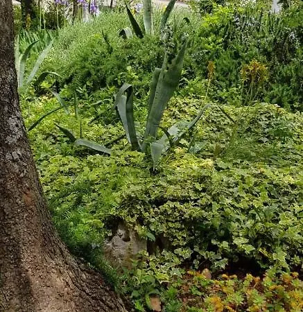 And Restaurant Danica krevet i doručak